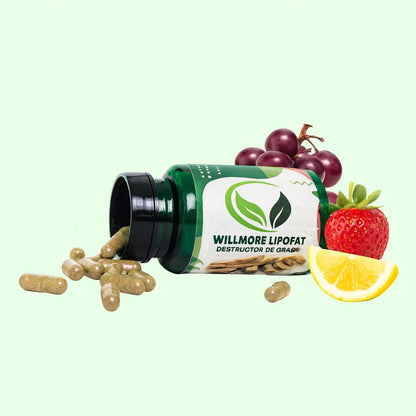 Willmore-Lipofat | Quemador de grasa
