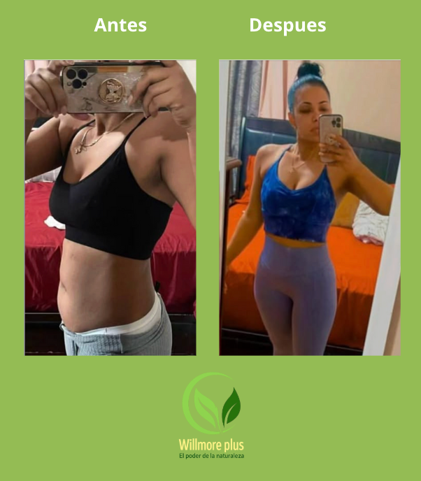 Willmore-Lipofat | Quemador de grasa
